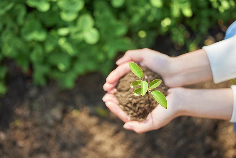 ���������ٷ�(�й�)���Ź���